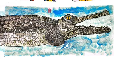 创意画鳄鱼